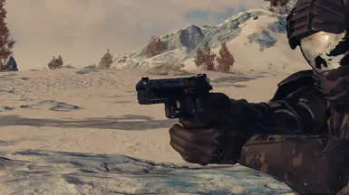 CZ Shadow