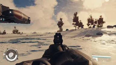 Iron Sights