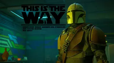 This is the Way - simplified Chinese