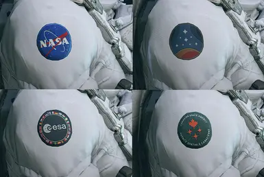 Logo Options