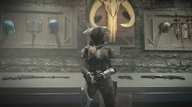 Angent 01 Replacer