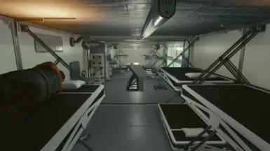 pioneer brig