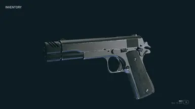 Old Earth Pistol - Blackout Skin