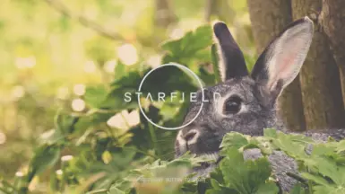 Cute - Bunny