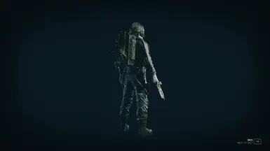 v1.0