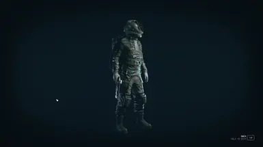 v1.0