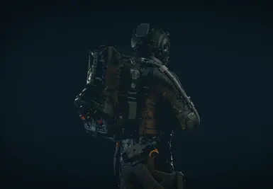 v1.1