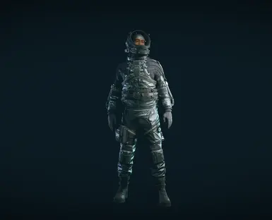 v1.1 Silver and Black