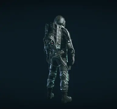 v1.1 Silver and Black