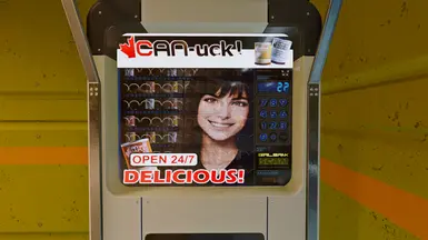 V2.3