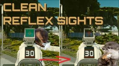 Clean Reflex Sight Lenses