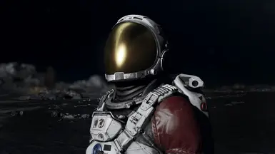 Optional Gold Coating Visor version