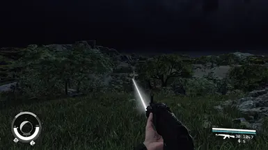 White Beam