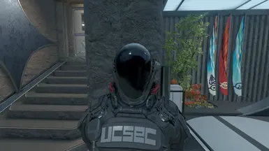Black Opaque Visor (Police)