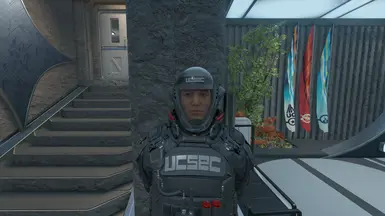 Transparent Visor (Police)