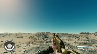 Gold Skin