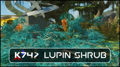 Kojaks Starfield Botanicals - Lupin Shrub