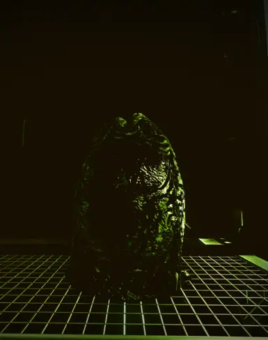 ALIEN EDITION - ALIEN EGG at Starfield Nexus - Mods and Community