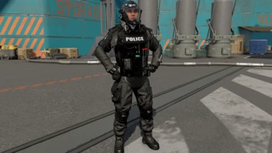 Black police clean visor (optional)