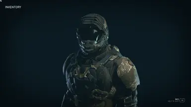 Desert Jackal
