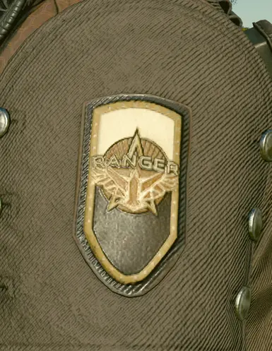 Custom Made Badge Texture & Normal Maps