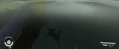 My character underwater (not using TCL)