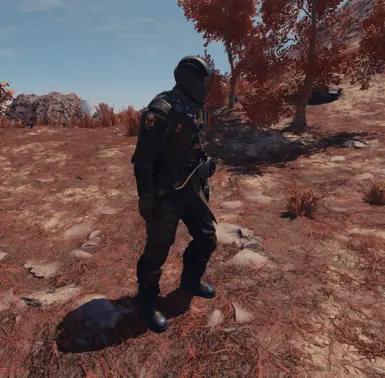 Emblem on spacesuit as well