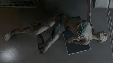 Dead Specter Body with Nude Patch installed