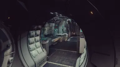Solo