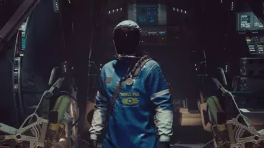 Vault-Tec Hazmat suit