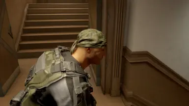 Camo version