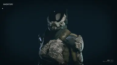 Desert Jackal