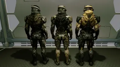 Desert Jackal, Freestar, Golden Bee