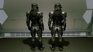 SysDef, SysDef Camo