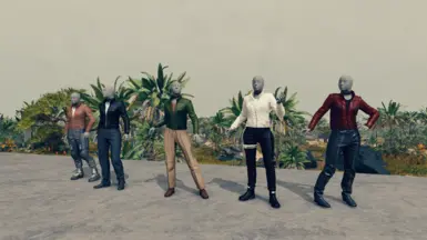 Settler Options