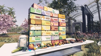 New Fruit n Veggies Boxes!