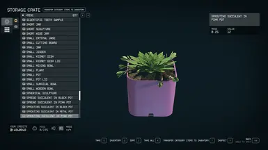 Renamed Items (9)