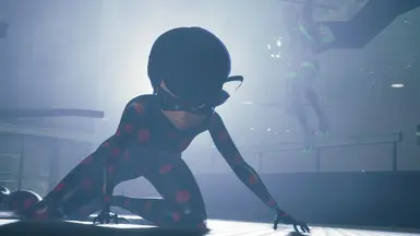 ~Evil Ladybug~