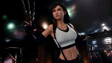 Falcon's Talons (NINJA GAIDEN 3 - Razor's Edge)