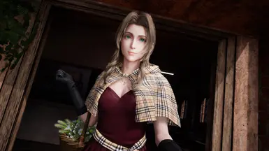 Burberry/Maroon Dress