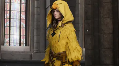 Chocobo Suit Aerith