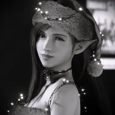 Merry Christmas!