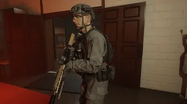 Generic Wolf Grey SWAT Uniforms at Ready or Not Nexus - Mods and community