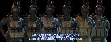 UK 22SAS Reskin Pack V2.0 With Options( UPDATED MARCH)