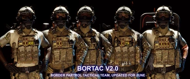US BORTAC Reskin Pack v2.0 4k Overhaul  Updated June
