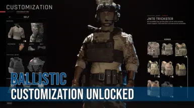 Customization Unlocked