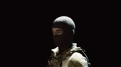 Legacy Masked SWAT Heads