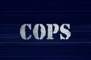 COPS season 21 startup movie replacer