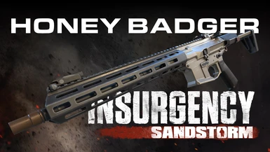 Insurgency - Honey Badger (UPDATED)