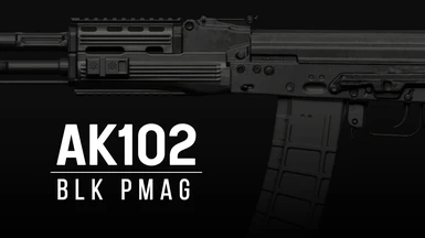 Black AK102 with PMAG